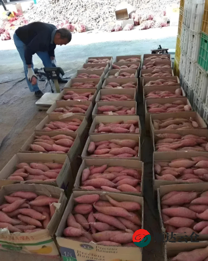 要天津發貨的禮品網